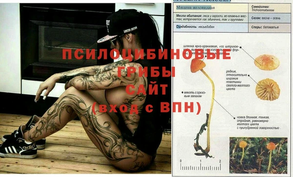 твердый Балабаново