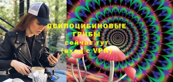 молекула духа Балахна