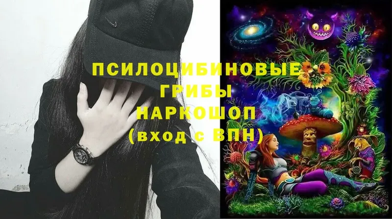 Псилоцибиновые грибы MAGIC MUSHROOMS  где продают   Гай 