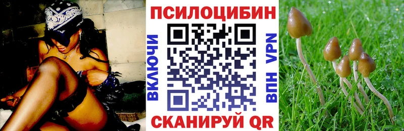 мега зеркало Гай Галлюциногенные грибы GOLDEN TEACHER закладка