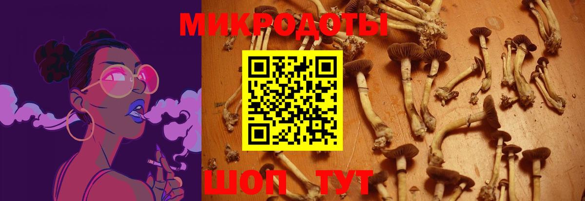 Гай  Галлюциногенные грибы Cubensis  Вход с VPN  Галлюциногенные грибы Magic Shrooms 