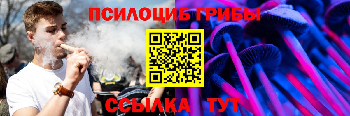 Псилоцибиновые грибы Magic Shrooms  Псилоцибиновые грибы Psilocybine cubensis  Гай 